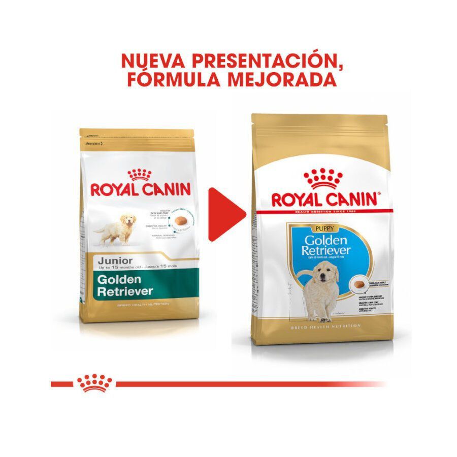 Royal Canin Puppy Golden Retriever pienso para perros thumbnail