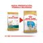 12 kg Royal Canin Puppy Golden Retriever pienso para perros, , large indicador imagen numero 3