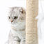Nobleza &ndash; Poste rascador para gatos de sisal con juguete. Peque&ntilde;o, Color Rosa Medidas: 25 * 25 * 35 cm, , large indicador imagen numero 3