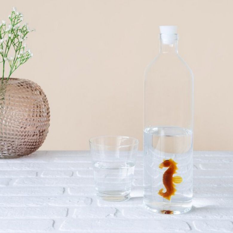 Sea Horse botella de vidrio para agua color Transparente thumbnail