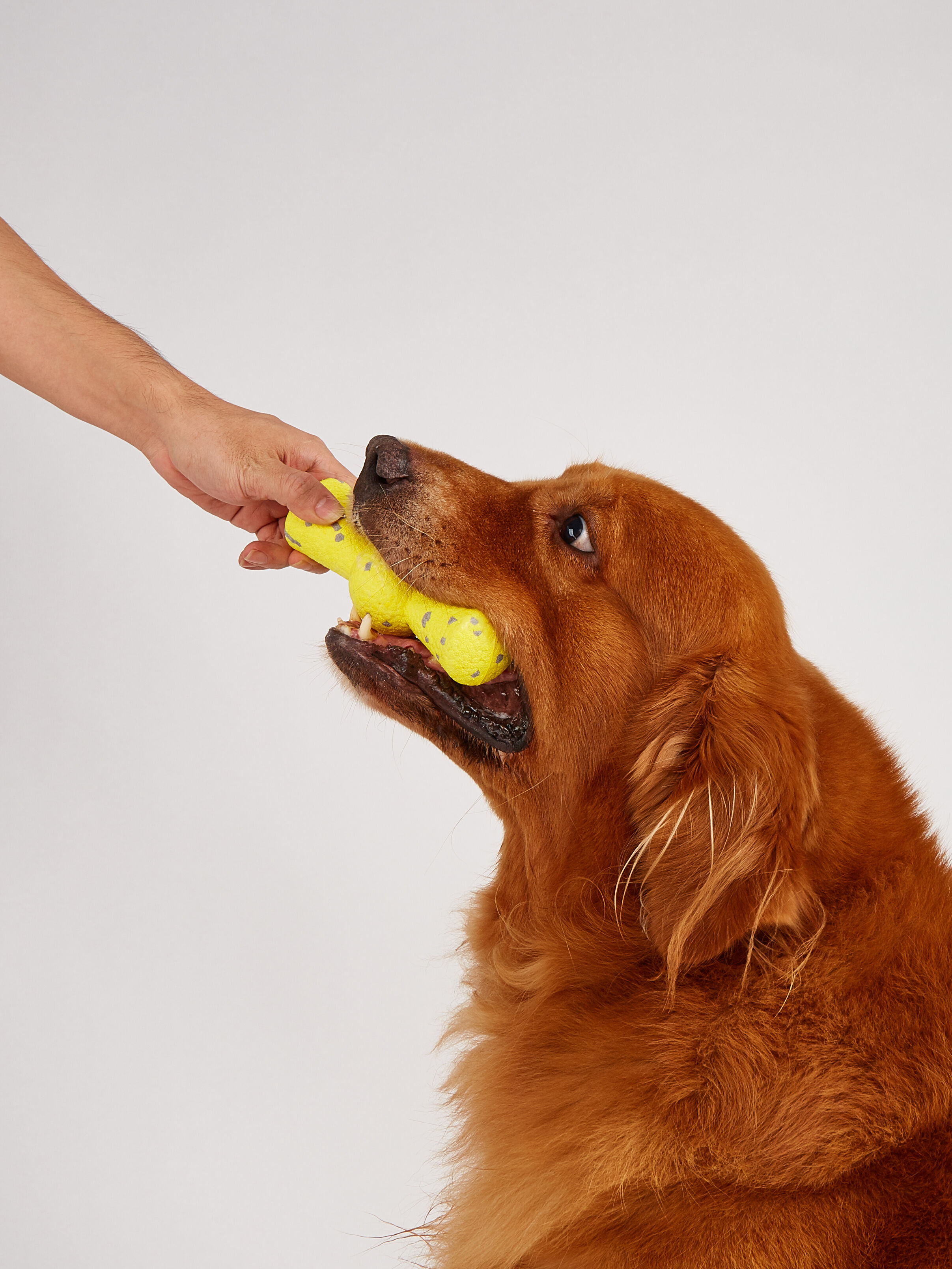 FOFOS Juguete para Perros Mighty Soft en Forma de Mancuerna &ndash; Suave, con Rebote y Flotante, , large Imagen numero 3