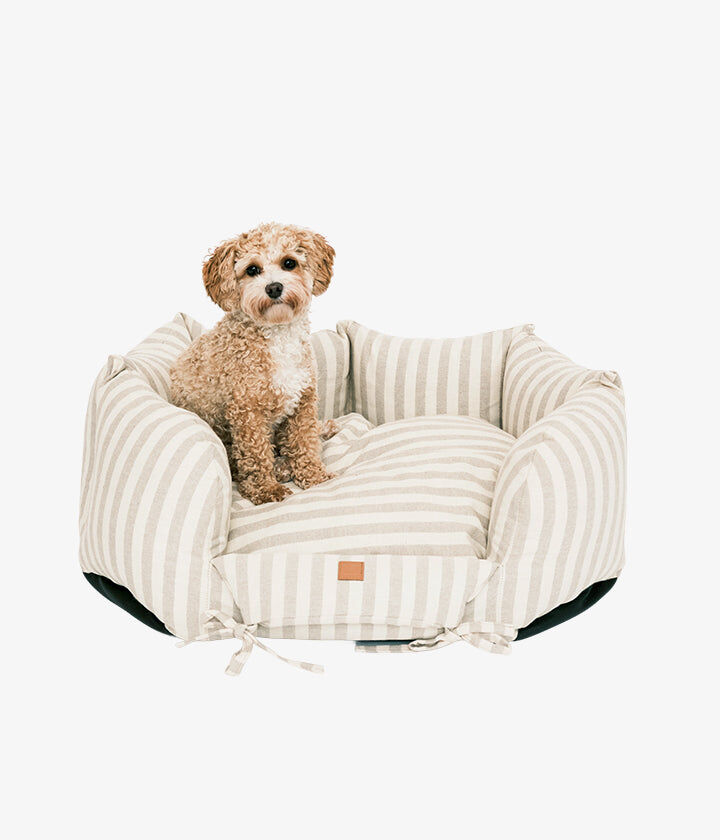 Pet and Co Cama Rayada Topo Ronny para Perros, , large Imagen numero 2