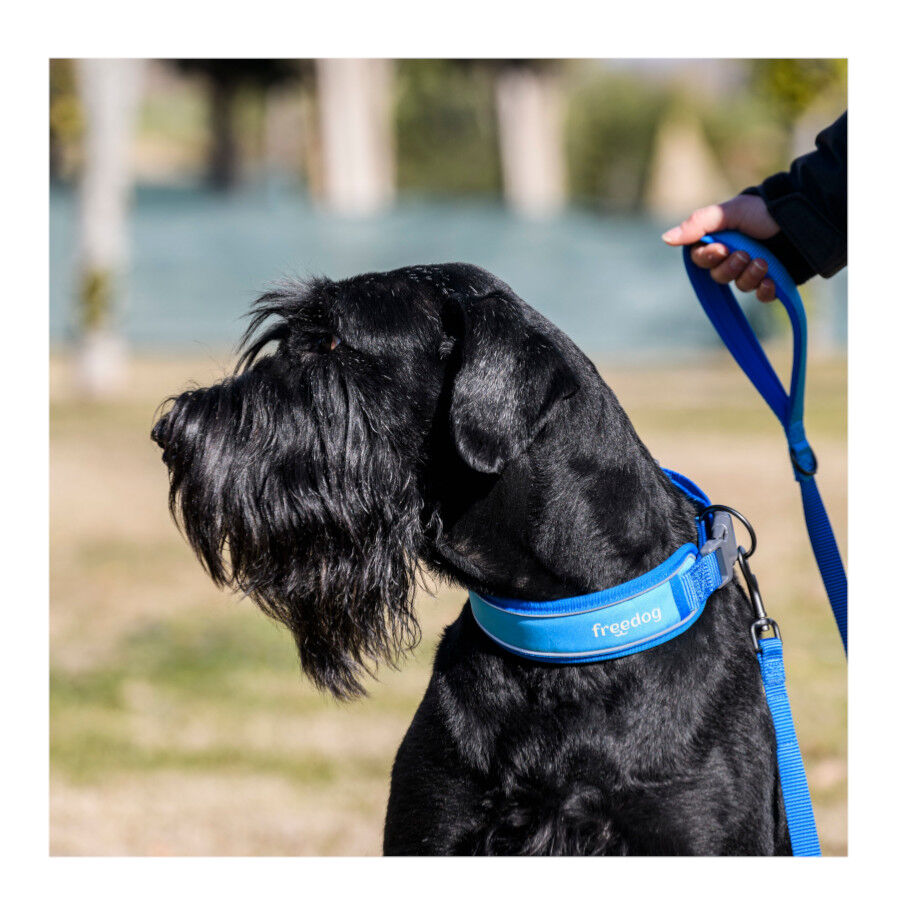 Freedog Cool Pro Tech Collar Refrescante Azul para perros, , large Imagen numero 7