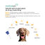 Medicalpet Pipetas Antiparasitarias para perros, , large indicador imagen numero 2