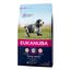 Eukanuba Senior pienso para perros medianos indicador imagen numero 1