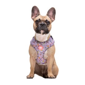 Dukier Flower Power Arn&eacute;s Ajustable para perros