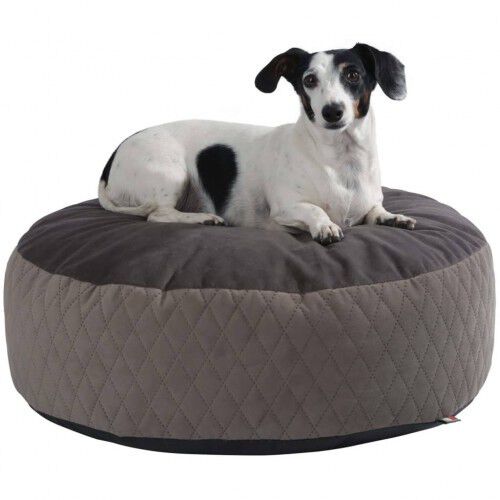 Cama de estilo puf para perros color Multicolor, , large Imagen numero 3