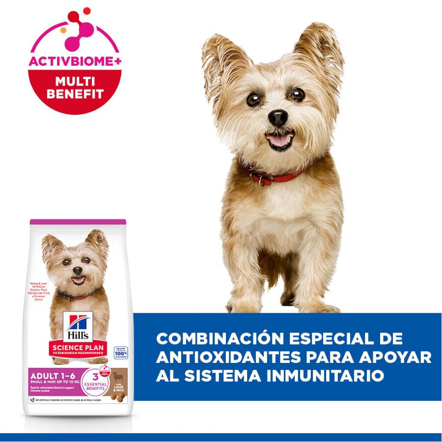 1.5 kg Hill's Science Plan Adult Small y Mini Cordero pienso para perros, , large Imagen numero 4