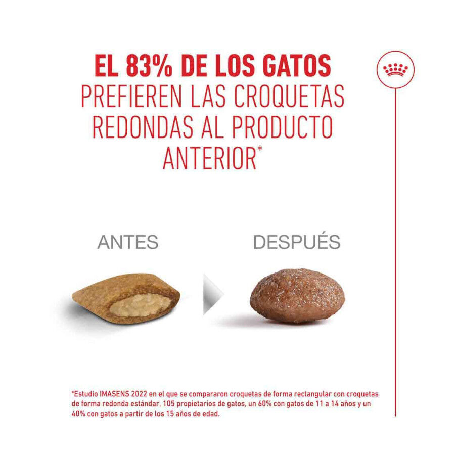 4 kg Royal Canin Ageing 11+ pienso para gatos, , large Imagen numero 11