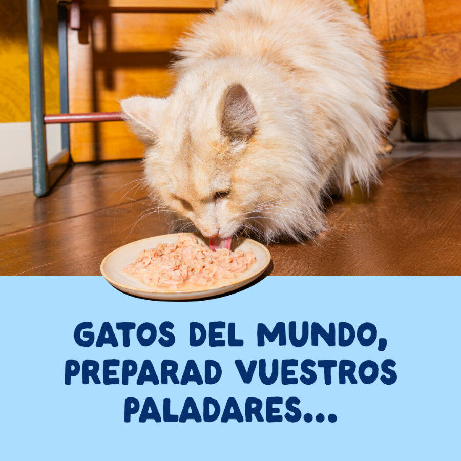70 g Edgard & Cooper Filetes de At&uacute;n lata para gatos, , large Imagen numero 2