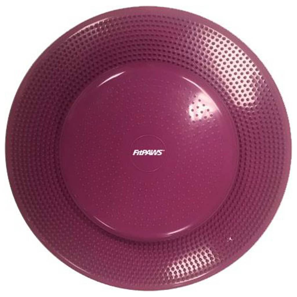 FitPAWS Disco de equilibrio para mascotas color frutos rojos 56 cm, , large Imagen numero 6