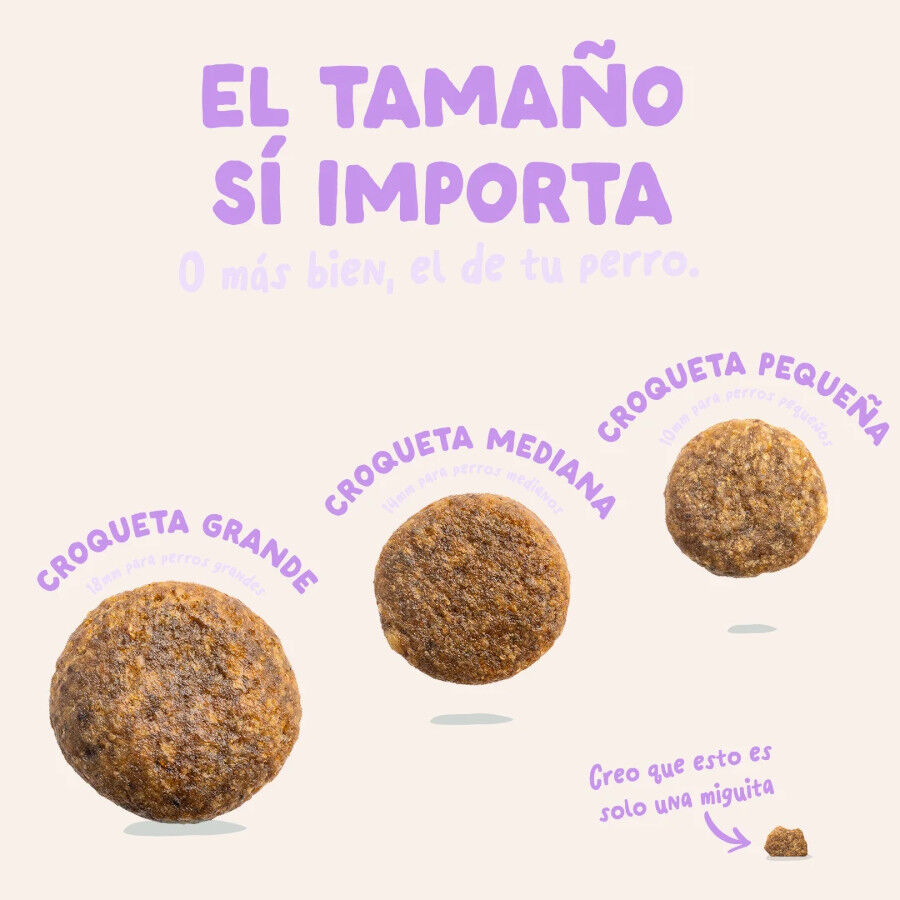 12 kg Edgard & Cooper Pienso Pato para perros adultos grandes, , large Imagen numero 4