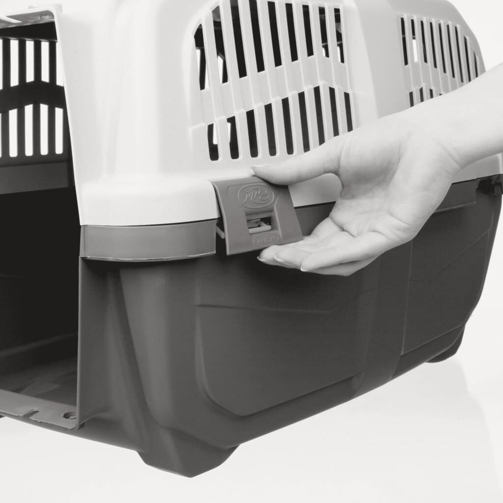 Trasport&iacute;n, , large Imagen numero 5