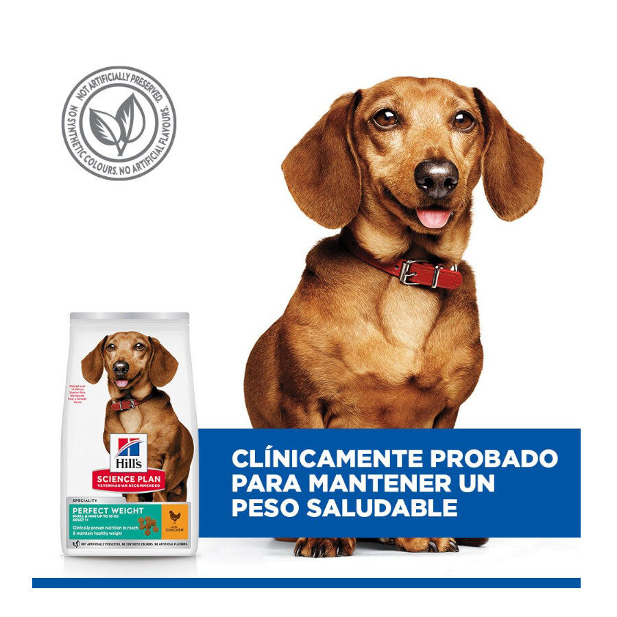 1.5 kg Hill's Science Plan Perfect Weight Adult Small y Mini pienso para perros, , large Imagen numero 5