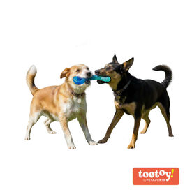Tootoy! Mordedor Grill and Pull Azul para perros