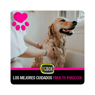 Tgbox Los Mejores Cuidados Para Tu Mascota para perros
