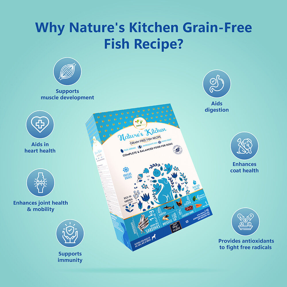 Alimento completo y equilibrado para perros sin cereales con pescado (500 g/17,64 oz), , large Imagen numero 5