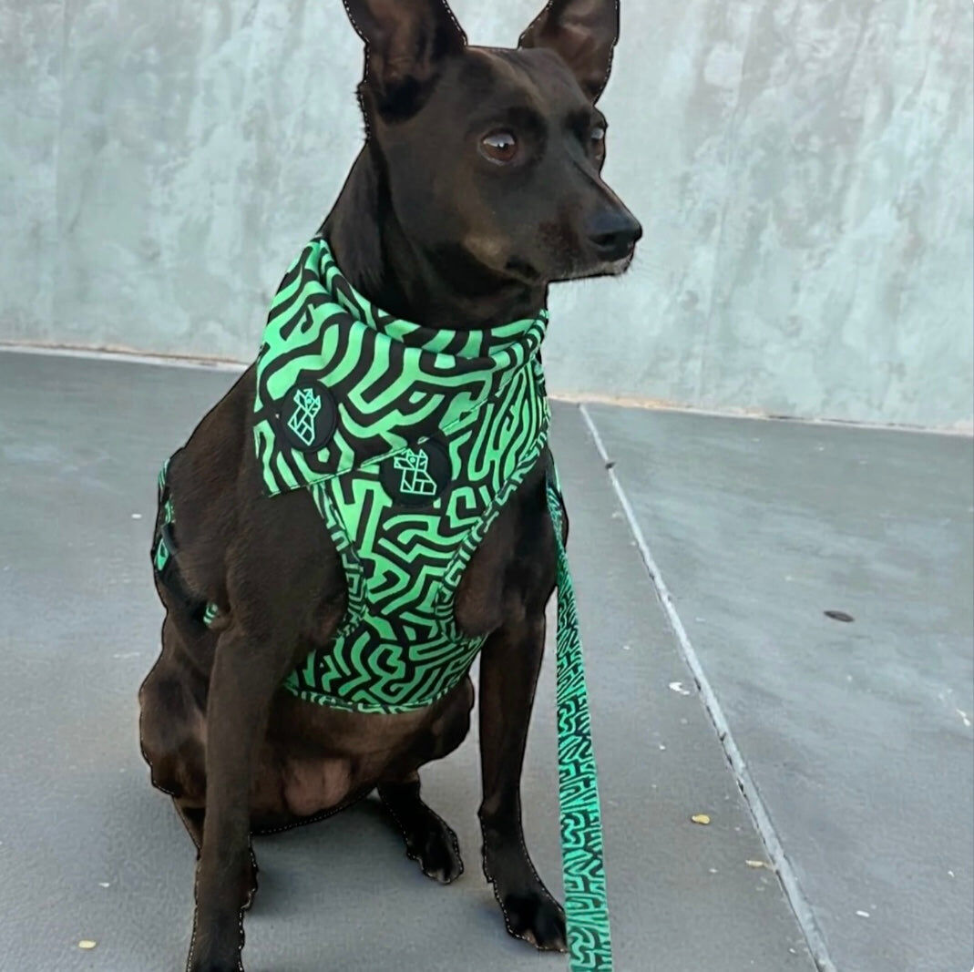BANDANA FRENCHTOUTOU VERDE, , large Imagen numero 3
