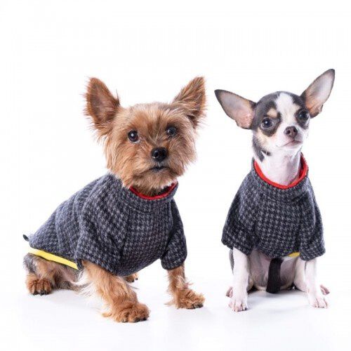 Abrigo para perros Groc Groc Chiu Bot&oacute;n Darjeeling, , large Imagen numero 1