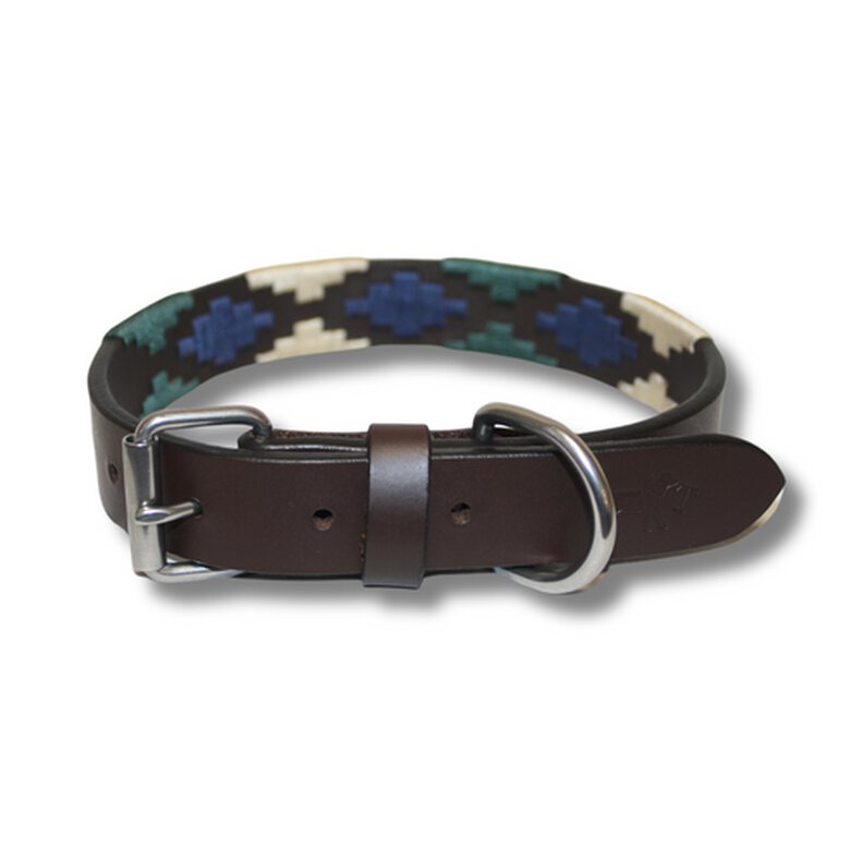 La Casa de Turrón - Collar de cuero para perro modelo Iguazú - Elegante y Duradero