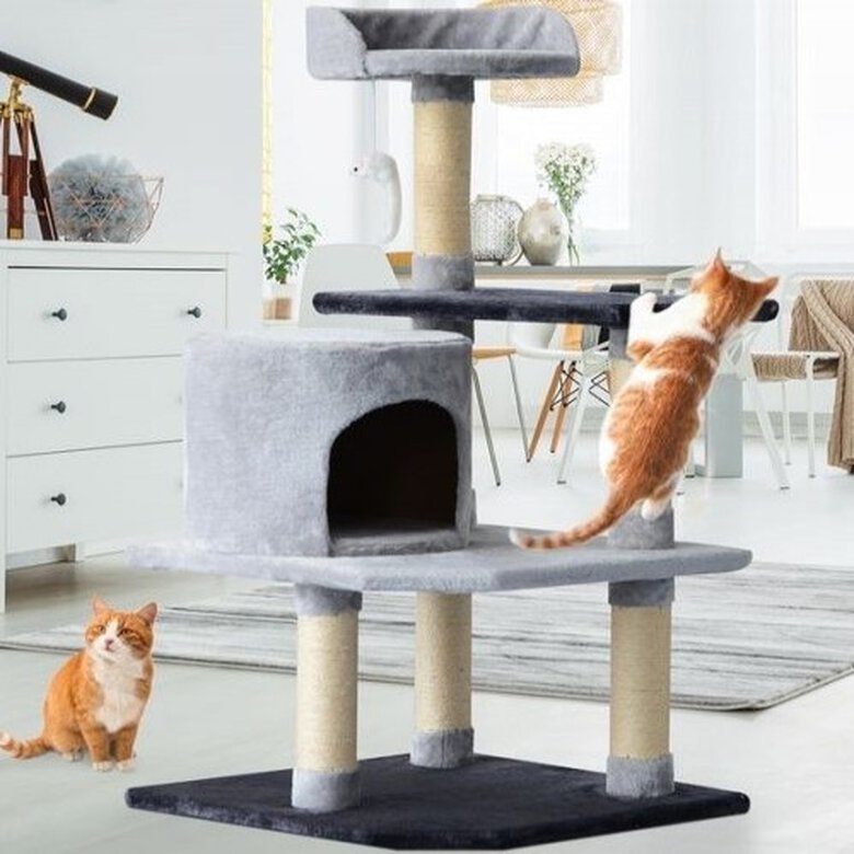 Árbol rascador PawHut para gatos con plataformas casetas ratón color Beige/Gris, , large image number null