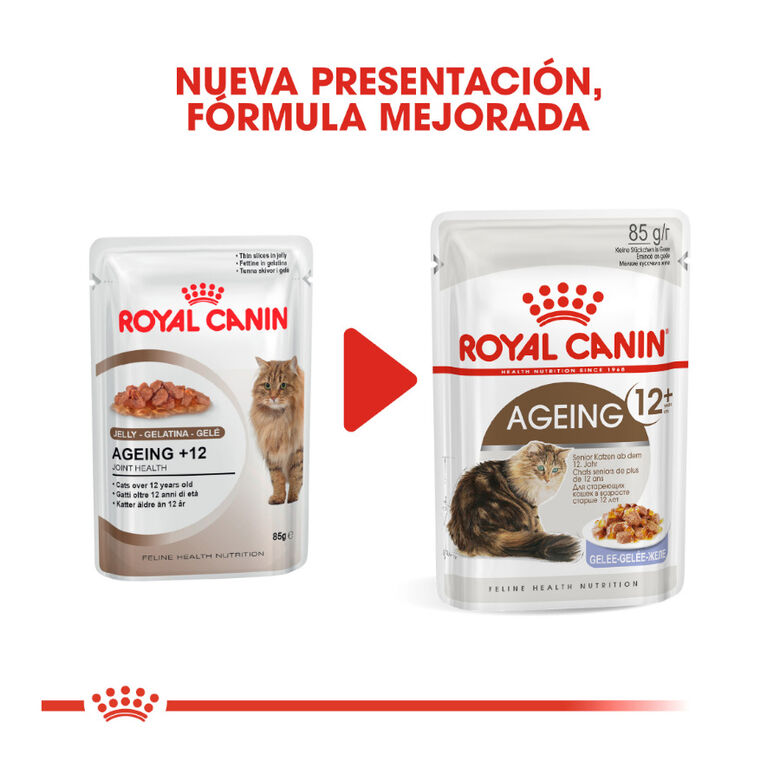 Royal Canin Ageing 12+ gelatina sobres para gatos thumbnail
