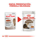 Royal Canin Ageing 12+ gelatina sobres para gatos, , large image number null