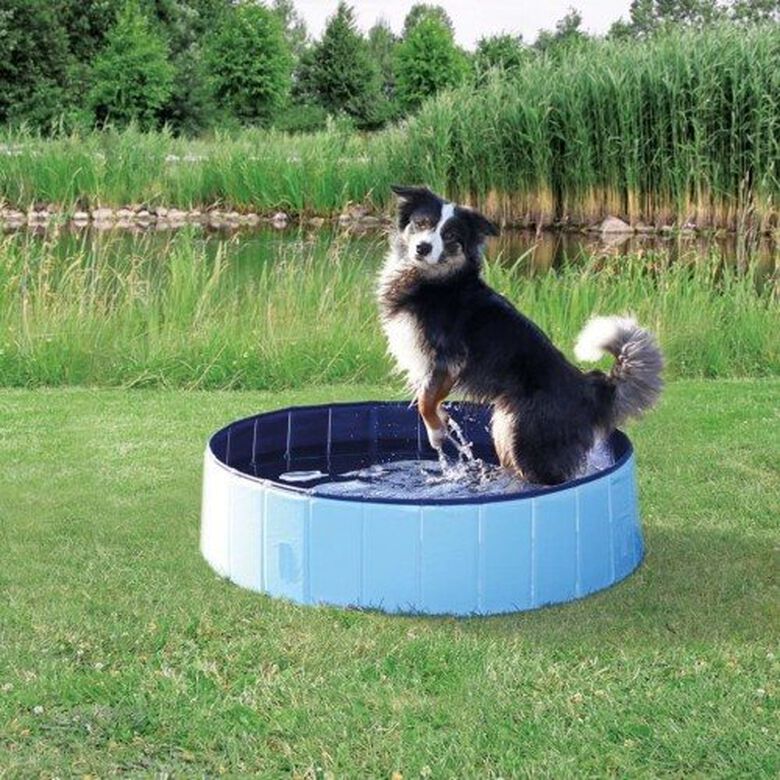 Piscina para perros color Blue thumbnail