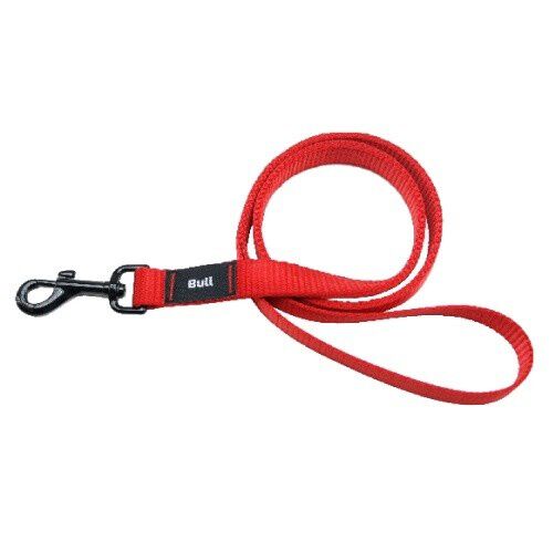 Correa de nylon lisa para perros color Rojo, , large Imagen numero 1