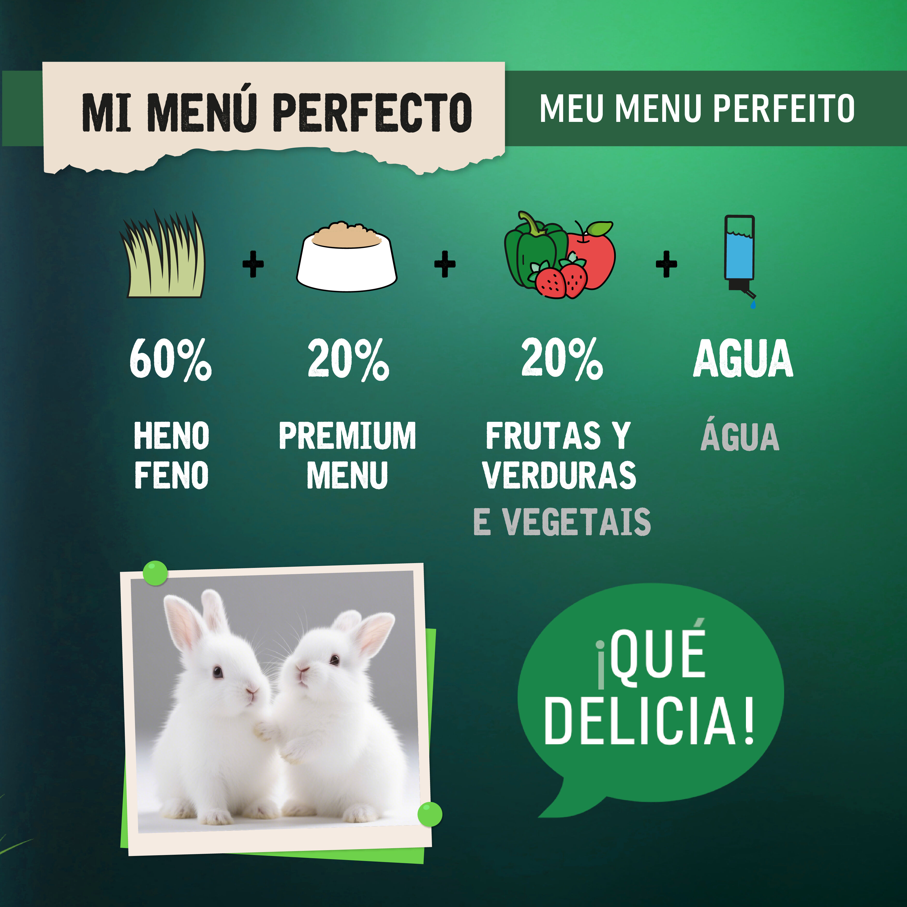 0.8 kg Small Life Premium Men&uacute; Pienso para conejos junior, , large Imagen numero 5