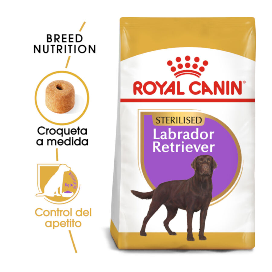Royal Canin Adult Labrador Sterilised pienso para perros thumbnail