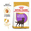 12 kg Royal Canin Adult Labrador Sterilised pienso para perros , , large indicador imagen numero 2