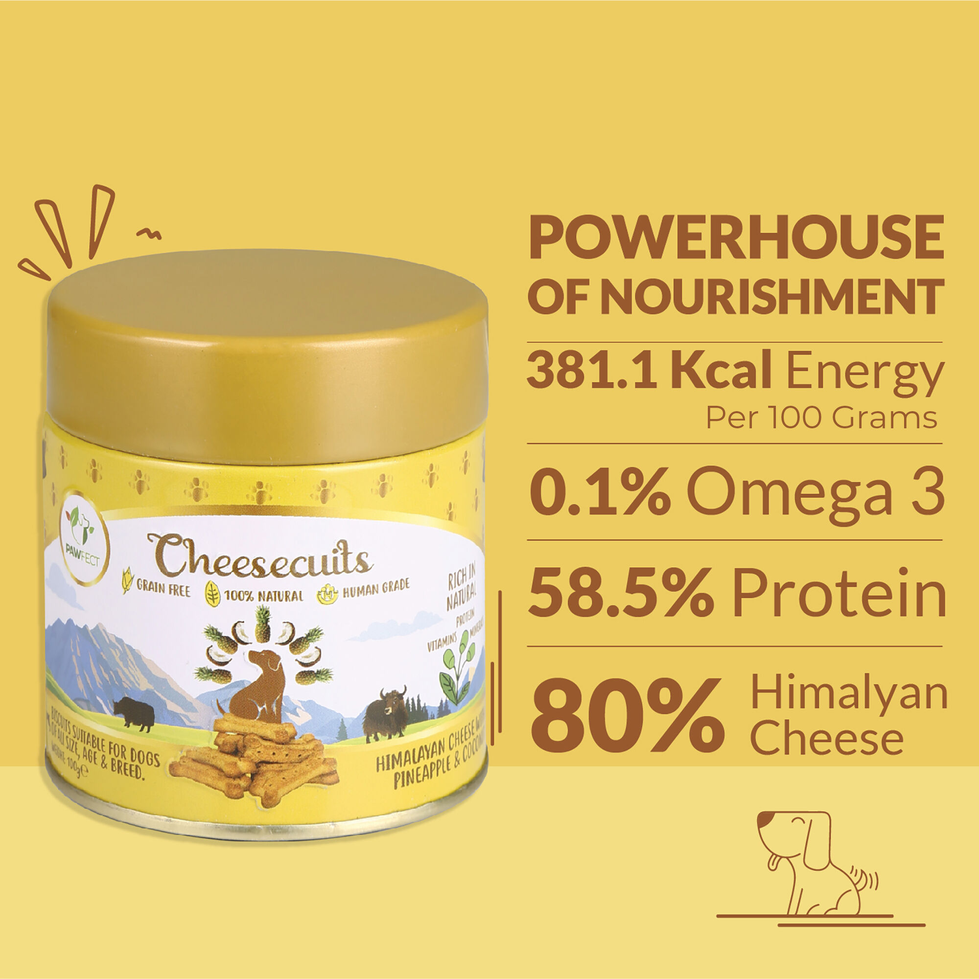 Galletas de queso para perros con pi&ntilde;a y coco - Cheesecuits (100 g/3,53 oz), , large Imagen numero 3