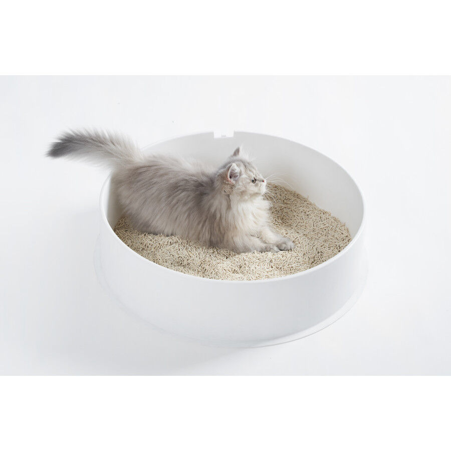 Arena vegetal para gatos (tofu) - 4.8kg, , large Imagen numero 2