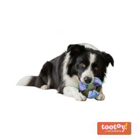 Tootoy! Anillo Mordedor Dental Azul y Marrón para perros
