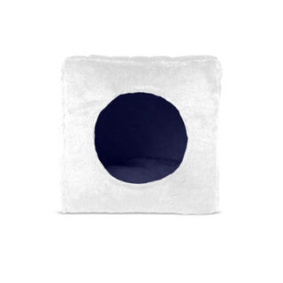 Gauty Cama Tela de sarga azul y blanco para Perros y Gatos