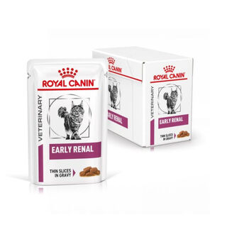 Royal Canin comida húmeda Senior Consult Stage 2