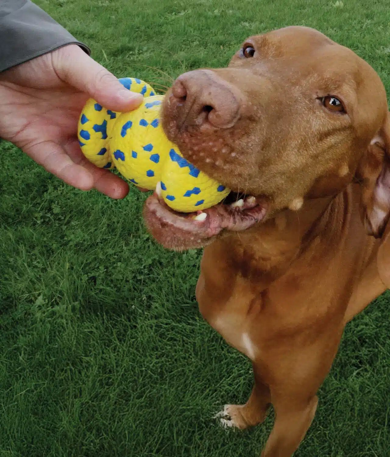 Zeus Nitro&trade; Bola Grip Lastrada , 12,4cm, , large Imagen numero 5