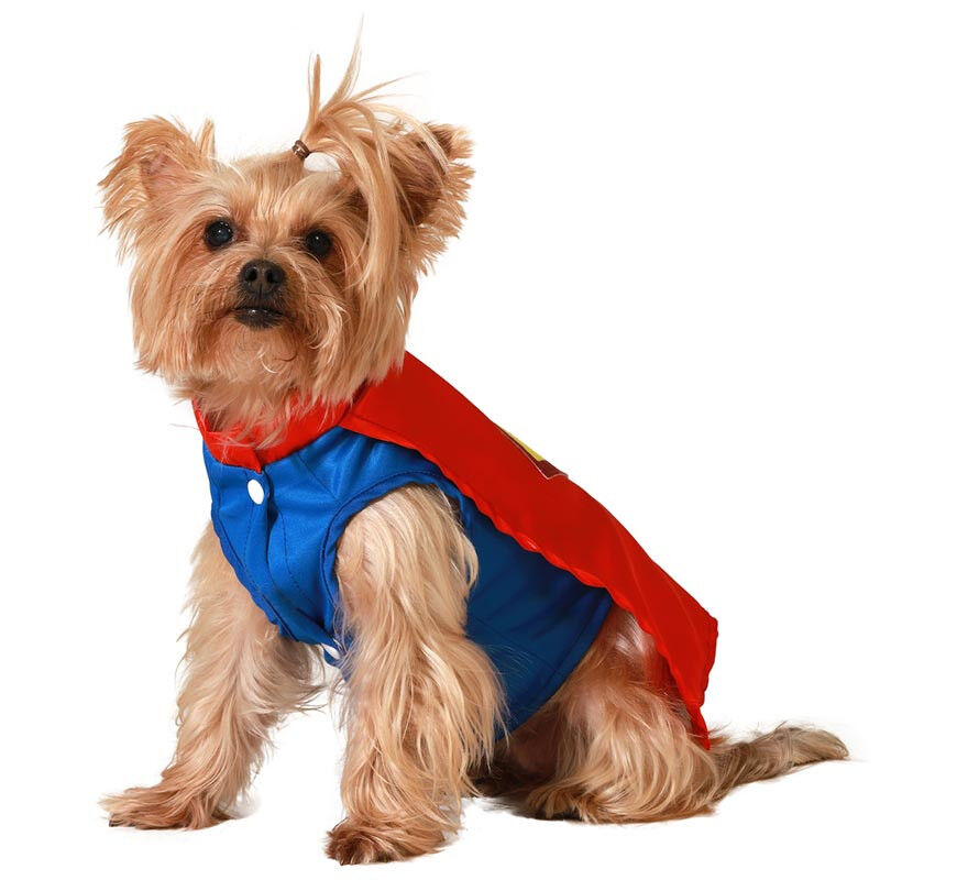 Disfraz de Superh&eacute;roe azul y rojo para perro, , large Imagen numero 1