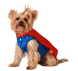 Atosa Disfraz Superhéroe azul y rojo para perros