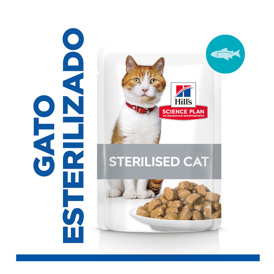 85 g Hill's Science Plan Sterilised Young Adult Trucha Sobre en Salsa para gatos, , large Imagen numero 2