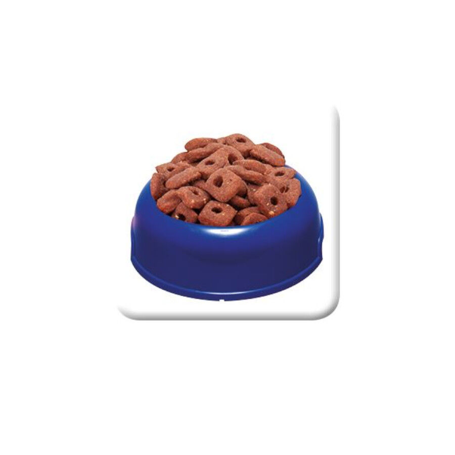 1 kg Beaphar SuperLekker galletas para perros, , large Imagen numero 2