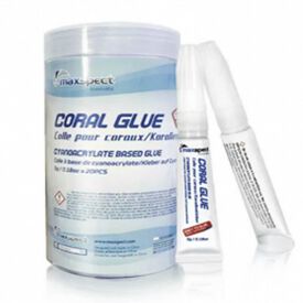 Maxspect Coral Glue cola para corales