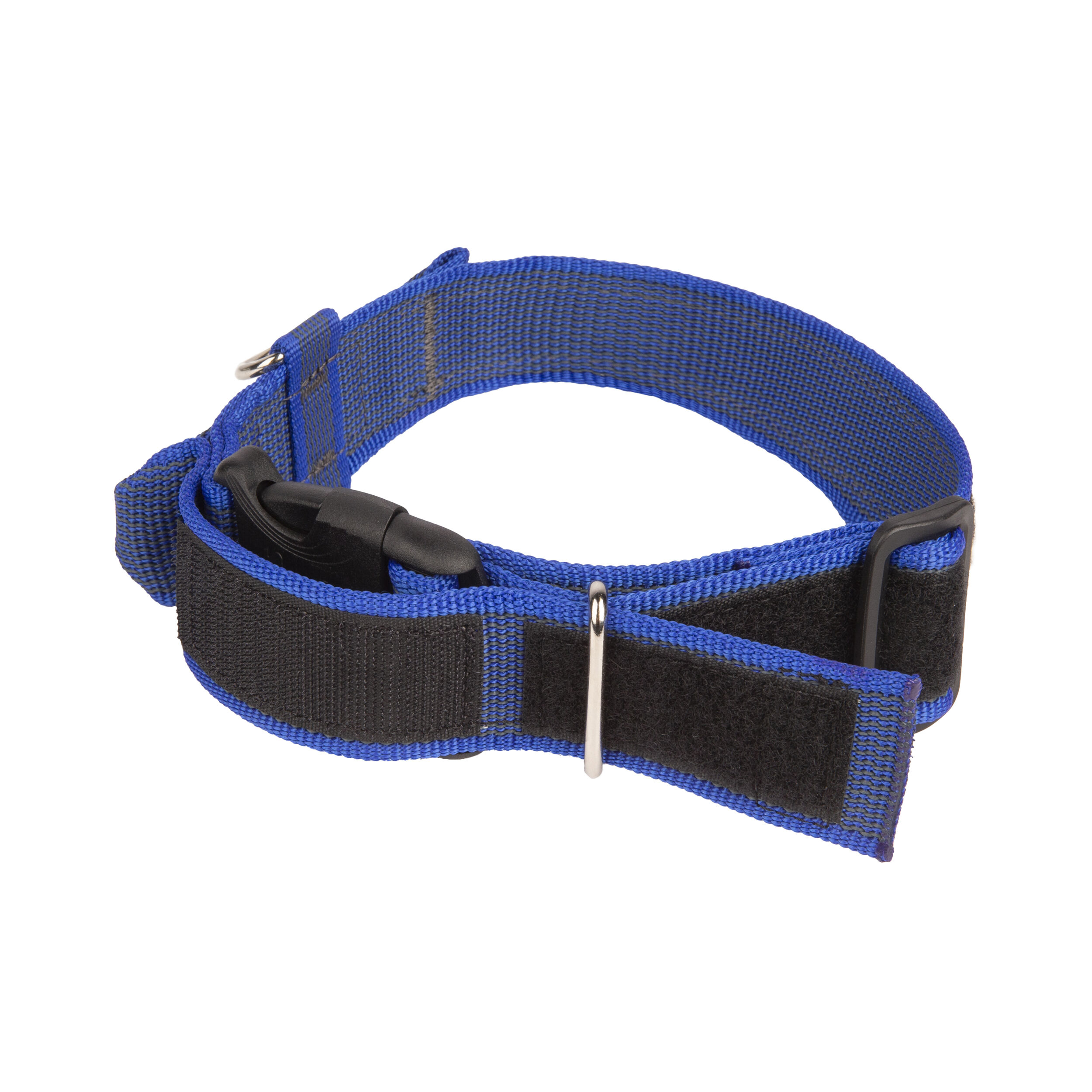 Collar asa de agarre Julius K9 50mm, , large Imagen numero 5