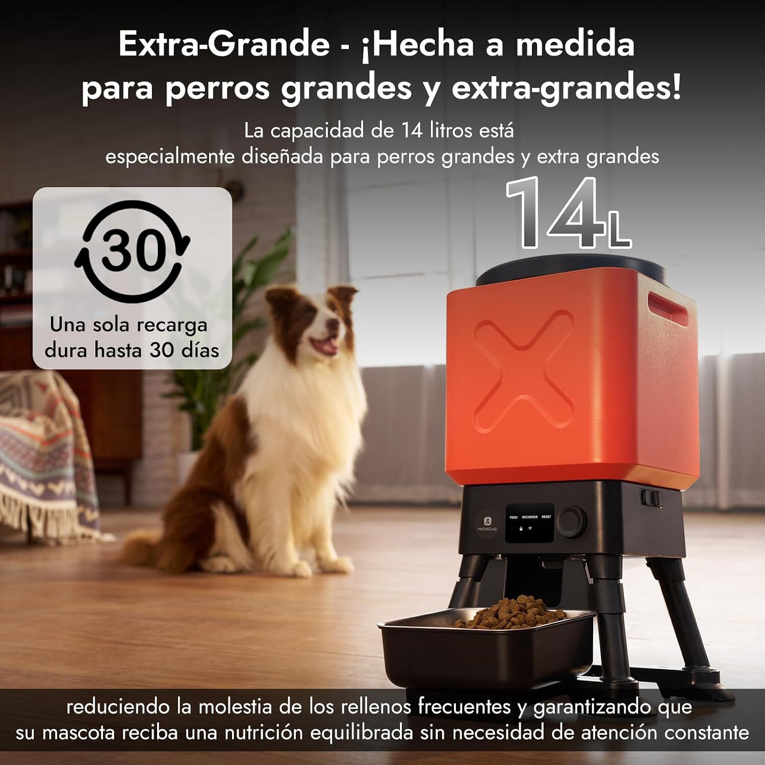 Molly&Cody Comedero Autom&aacute;tico Wifi para Mascotas, 14 litros, , large Imagen numero 2