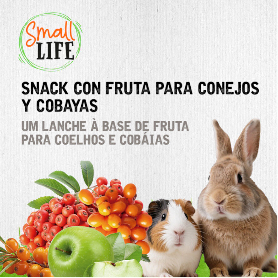 2 barritas Small Life Barritas Snack con Fruta para conejos y cobayas, , large Imagen numero 4