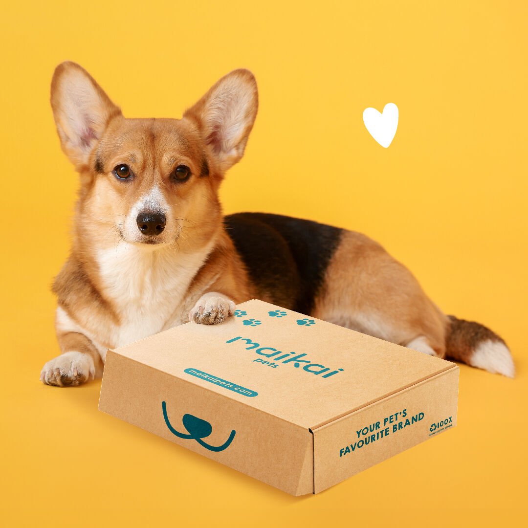 MAIKAI Pack de 7 Chuches para Perros + Aceite de Salm&oacute;n 250 ml, , large Imagen numero 3