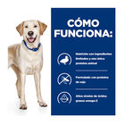 Hill's Prescription Diet D/D Food Sensitive Pato pienso para perros, , large image number null