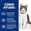 3 kg Hill’s Prescription Diet Gastrointestinal Biome Stress para gatos, , large indicador imagen numero 4
