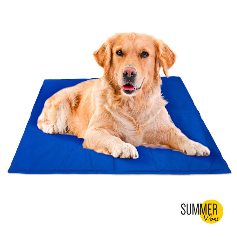 Summer Vibes Manta Refrescante Azul para perros thumbnail